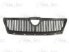 BLIC 6502-07-7521990P Radiator Grille